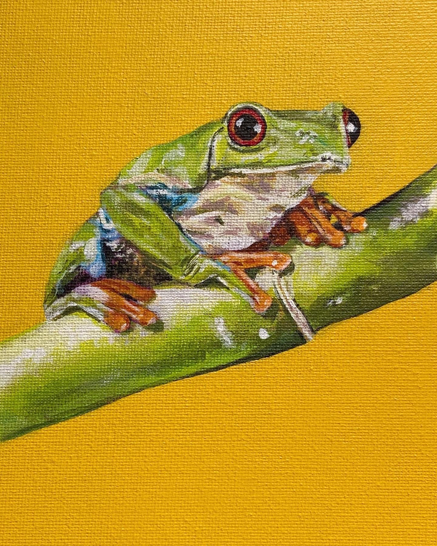 Tree frog on a bamboo stick